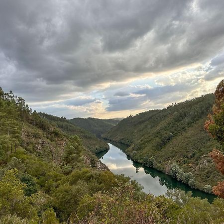 Отель Glamping Do Ze Cernache do Bonjardim Экстерьер фото