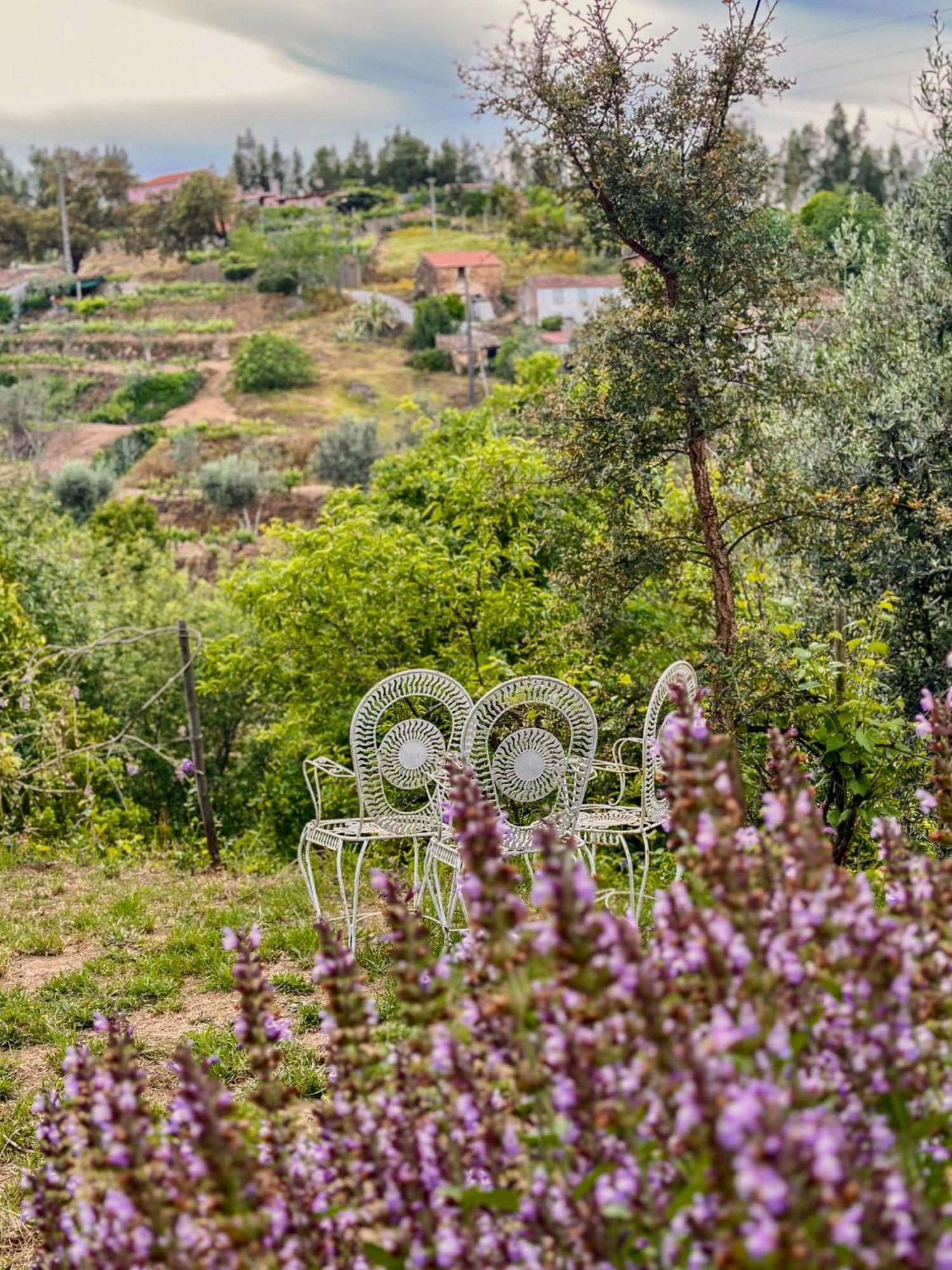 Отель Glamping Do Ze Cernache do Bonjardim Экстерьер фото