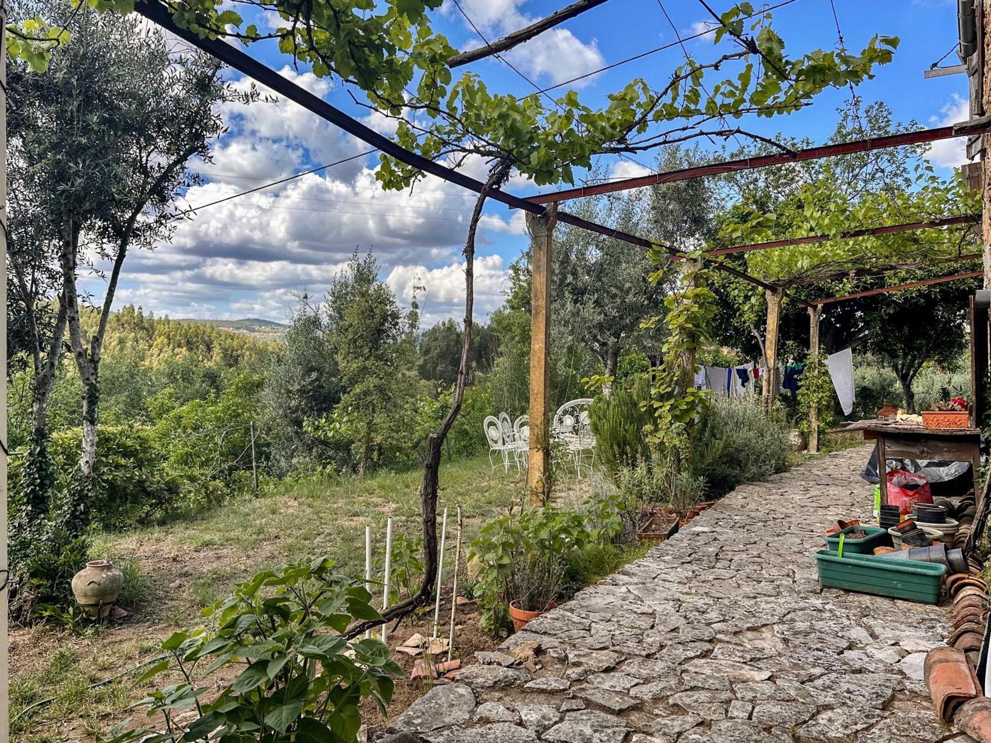 Отель Glamping Do Ze Cernache do Bonjardim Экстерьер фото